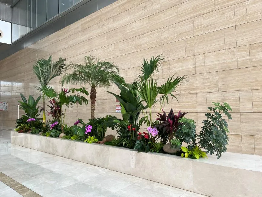 宁波海曙盆景租赁价格实惠